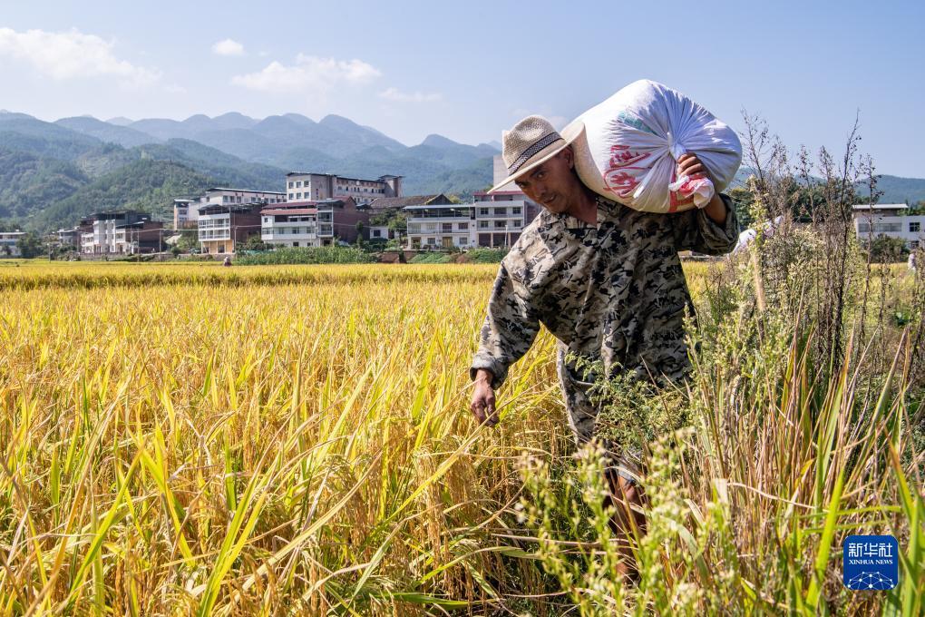 天涯捕鱼苹果版